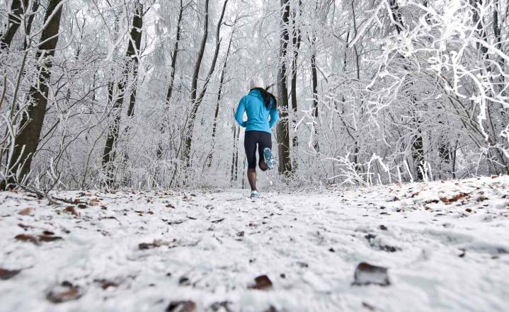 7 Plant-Based Proteins That Help With Muscle Recovery in Cold Weather