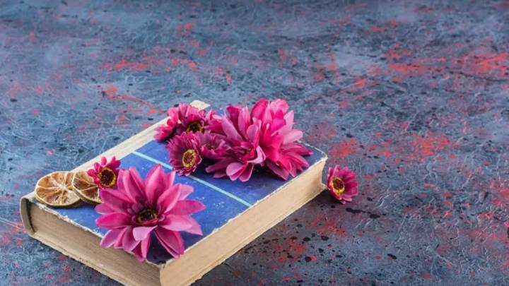 Word of the Day, December 06: 'Magnanimous'