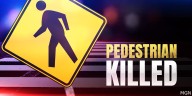 Leesville man fatally hit by vehicle in Vernon Parish