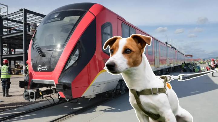 ¿Los perros serán permitidos en el Metro de Bogotá? Ya hay respuesta oficial