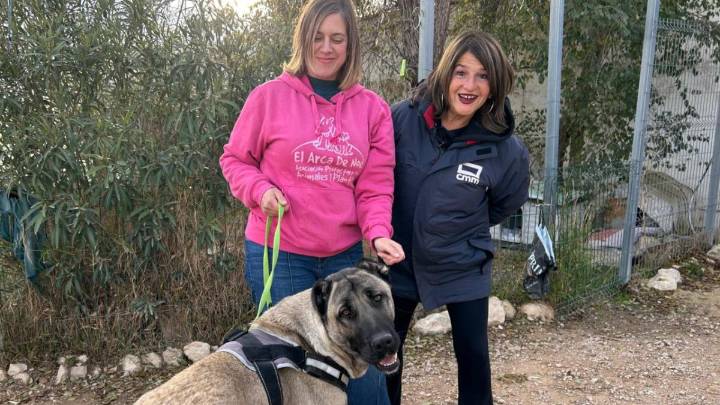 El mensaje de Simona: diversión y mimos x50