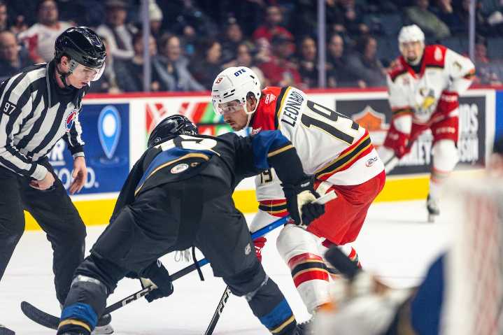 AHL scoring leader John Leonard leads Griffins to 17th win