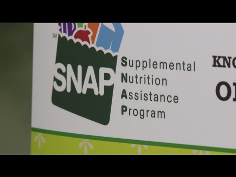 Georgia lawmakers push for state audit of handling of federal benefits