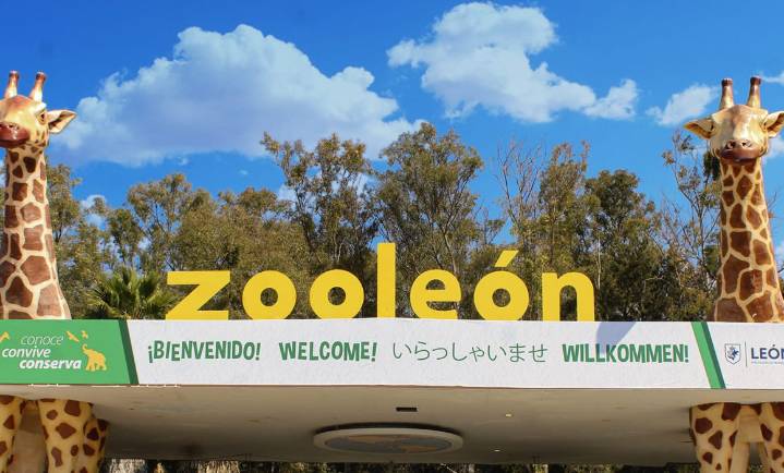 Cierran Zoológico de León por muerte de animales y presunto maltrato