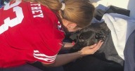 Lifeguards rescue dog swept out to sea by rip current off San Diego