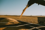 Worst of the bad news may be over for grain markets but January reports will decide the future