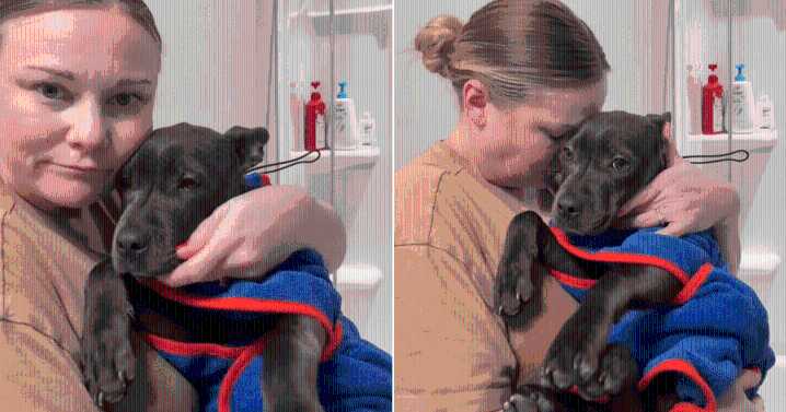 Frightened Shelter Puppy Shakes in Foster Mom’s Arms as Her Story Touches Millions