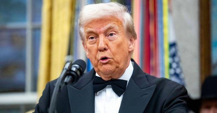 'Stupid' Donald Trump Slammed for Building UFC Arena on White House Grounds for 80th Birthday: 'What a Joke'