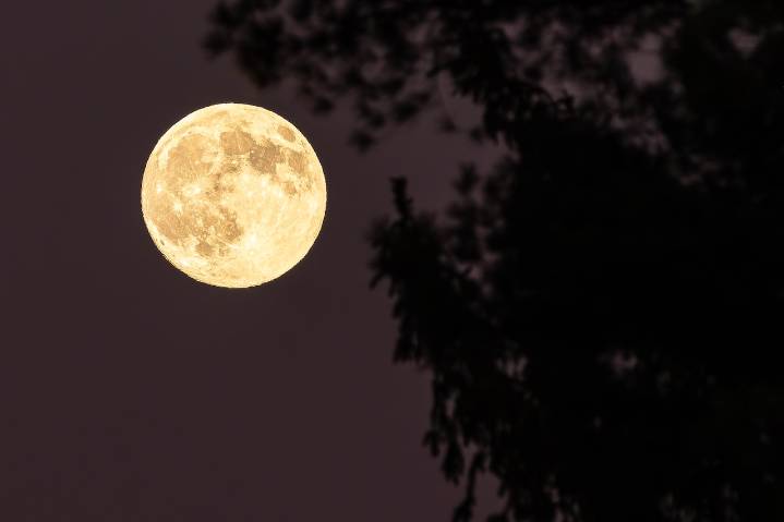 How to see the final supermoon of the year Thursday