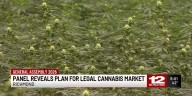 Panel reveals plan for legal cannabis market