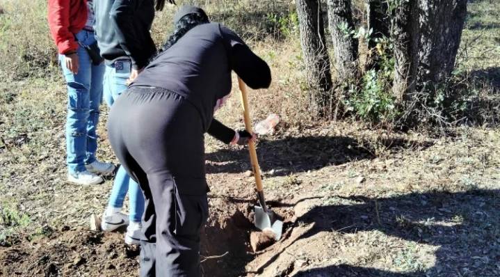 Localizan osamenta en búsqueda especial de Madres ...