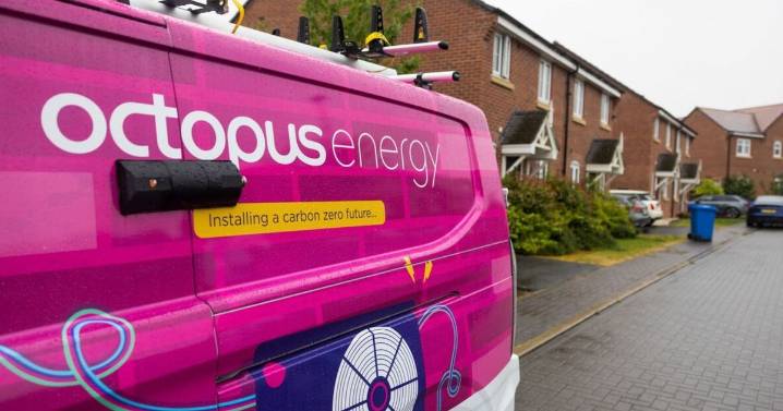 Octopus Energy issues announcement affecting 'thousands' of drivers