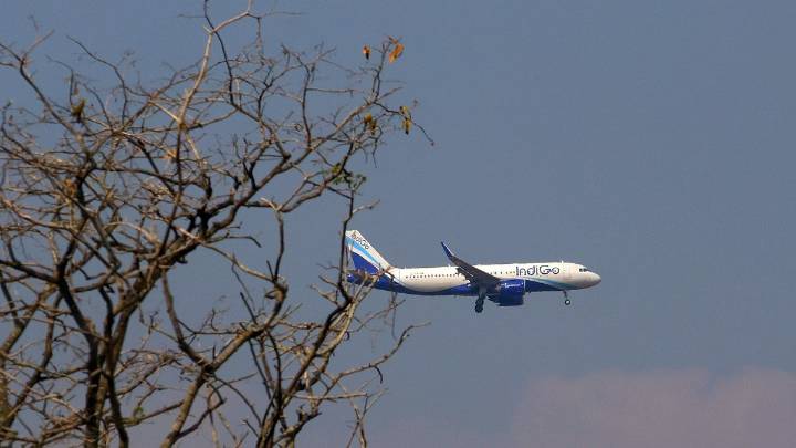 DGCA summons IndiGo CEO Pieter Elbers, top officials on Dec 11