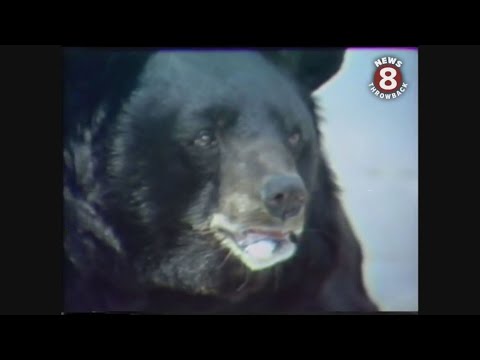 1976 San Diego Zoo animals and privacy