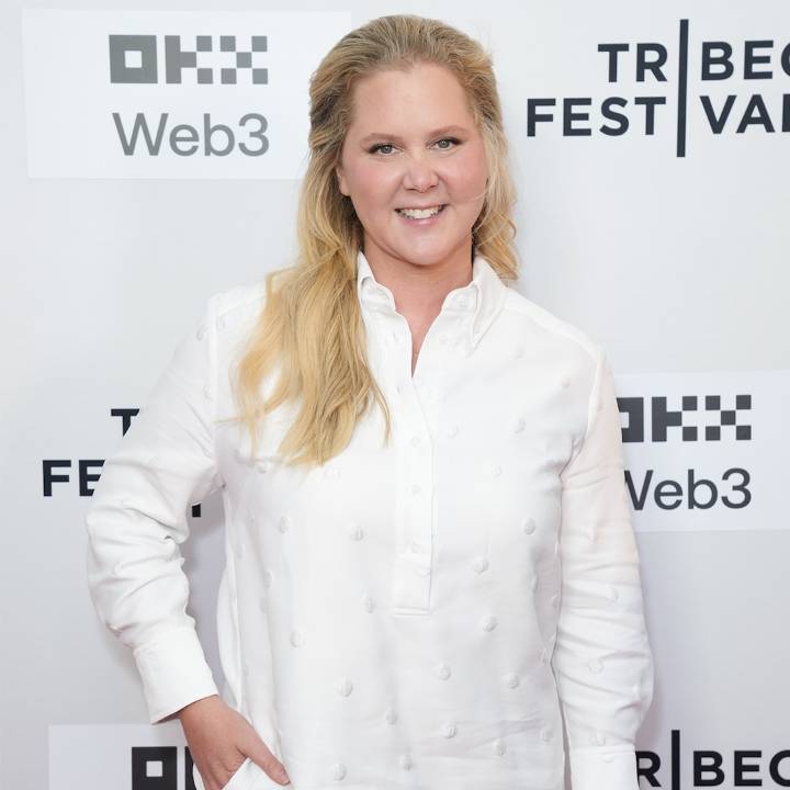 Amy Schumer Breakup: Celebrities React