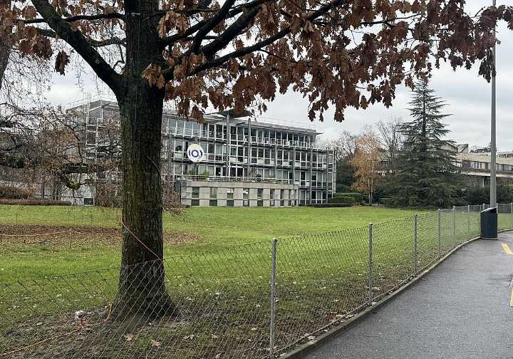 Eurovisión: una decisión acertada