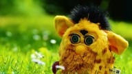 Furby sigue triunfando, aunque la versión más extravagante es la que se está agotando