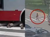 La Molina: mujer de 70 años es atropellada por bus del Corredor Rojo