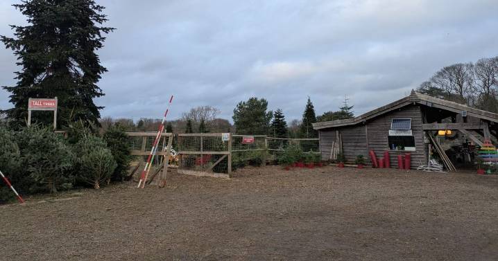 Stand-off at Bristol Christmas tree farm as YouTuber confronted
