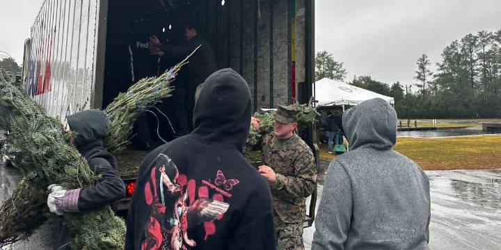 Free Christmas trees for troops at Cherry Point