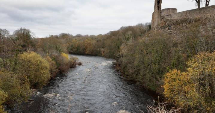 Elderly woman dies after entering river at Barnard Castle