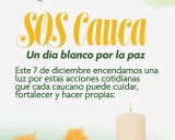Comunidades del Cauca lanzan un SOS humanitario para detener la guerra