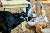 8 events in Katy-Fulshear to attend through ...