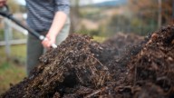 10 Green Materials That Give Your Compost Pile A Serious Nitrogen Boost
