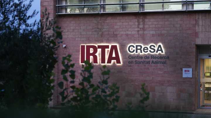 El IRTA-CReSA experimentaba con el virus de la peste porcina días previos a la aparición del brote
