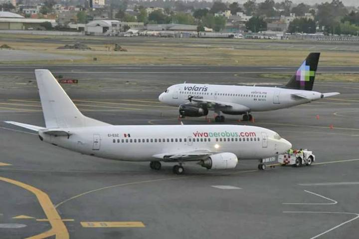 Volaris y Viva cumplen actualización de software de Airbus, informa AFAC