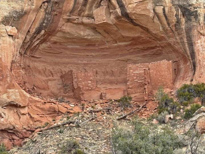 This Trump nominee wants to liquidate public lands