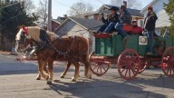 Horse virus outbreak cause of Lawrence parade cancellation