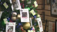 Giving Tree for Jack's Playground highlights supplies needed for local animals in need