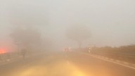 Low visibility in Delhi as thick smog engulfs city; AQI breaches 450