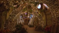 Dreamwalk Park unveils otherworldly Christmas experience