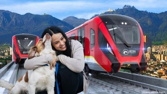 ¿Se podrán subir mascotas al Metro? Esto se sabe