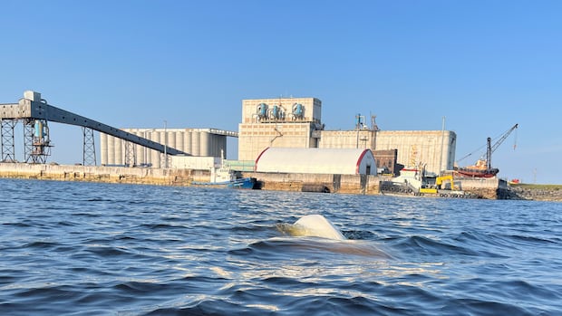 New Crown corporation will ensure Indigenous involvement from start of major projects: Kinew