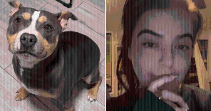 Girlfriend Confused As To Why Their Dog Is Shiny, But Her Boyfriend Tells Her Why
