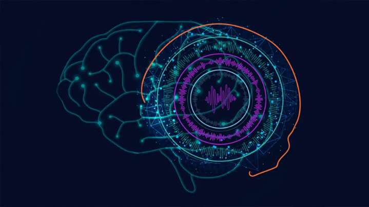 La memoria biológica inspira a Google para crear modelos de IA más flexibles