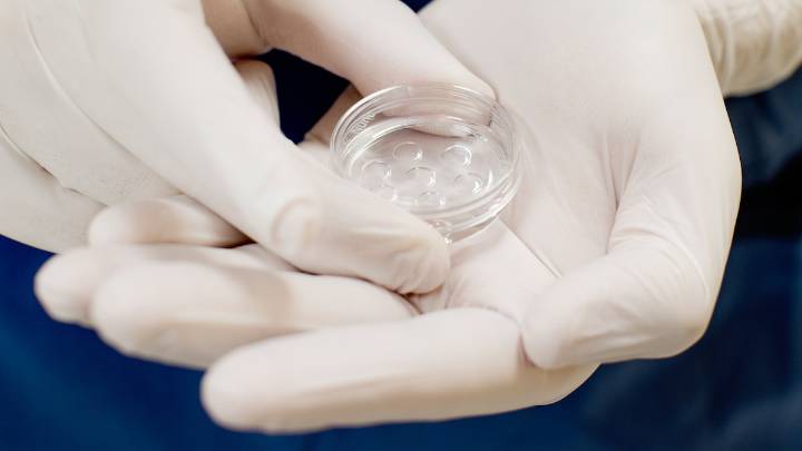 The first AI-assisted IVF babies are now being born