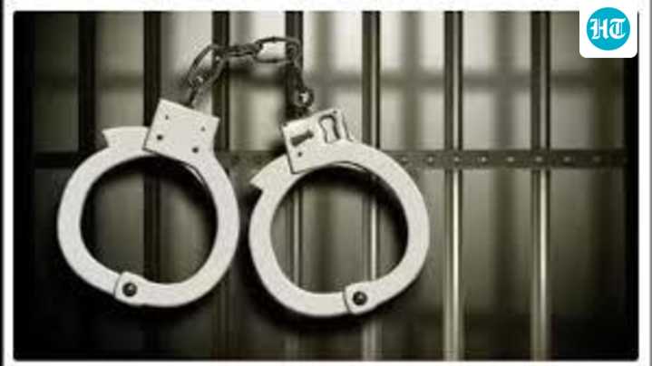 Narcotics worth ₹ 4 crore at seized at Delhi IGI Airport, passenger arrested