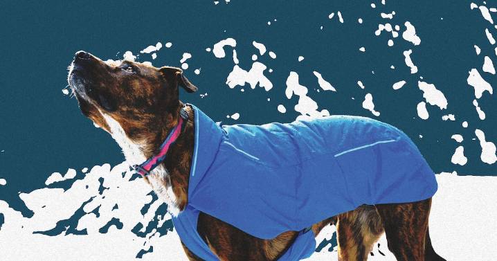 Dress for Success in the Oregon Elements