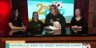 Amarillo Zoo curators, Remy join us on 2nd Cup to highlight winter camp