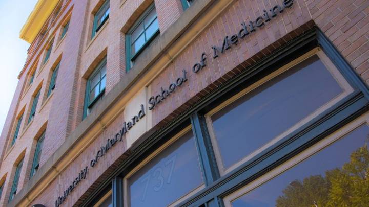 Focused ultrasound improves survival odd for deadliest brain cancer