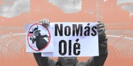 Qué pasó tras la sanción de la ley que prohíbe las corridas de toros en Colombia: demandas, concertaciones y disputas entre toreros y animalistas