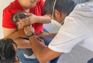 Ssa aplica acciones reforzadas contra el sarampión y amplía vacunación en estados con brotes