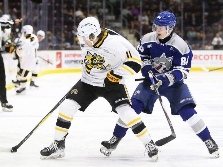 Sudbury Wolves vs. Sarnia Sting: OHL live blog tonight
