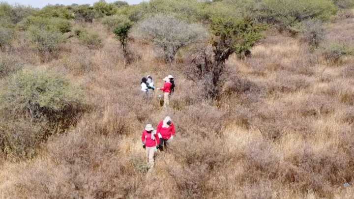 Localizan Más Restos Óseos en el Caquixtle; Suman 12 Cuerpos, Según Colectivos