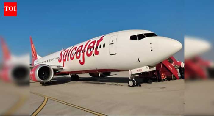 SpiceJet plans expansion with 100 more flights daily amidst IndiGo fiasco; airline aims to 'improve overall network resilience'
