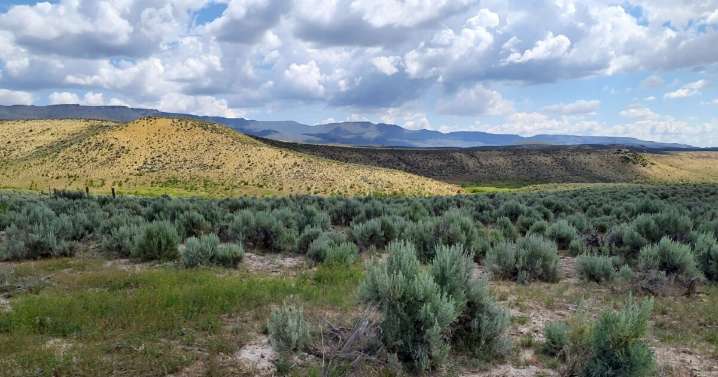 BLM approves lithium exploration in Southeast Oregon